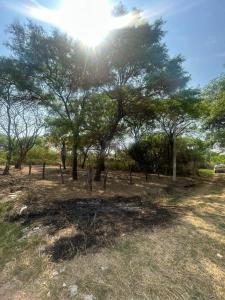 Av. G77. Urbanización Trapero , Norte, Santa Cruz 00001, Bolivia