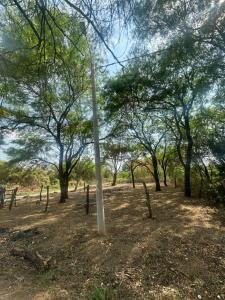 Av. G77. Urbanización Trapero , Norte, Santa Cruz 00001, Bolivia