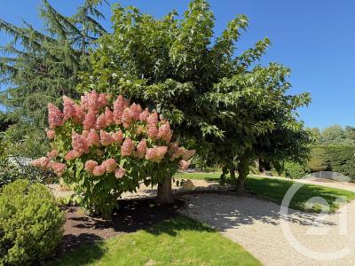 Bouchemaine, Pays De La Loire 49080, Frankreich