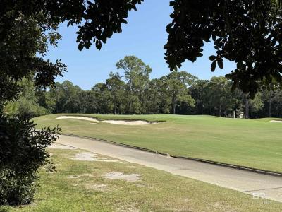 417 Wedgewood Drive, Gulf Shores, Alabama 36542-3047