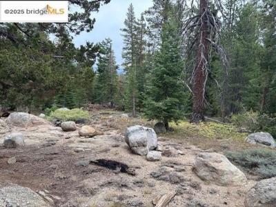 212033 Eagle Meadow, Strawberry, California 95375, USA