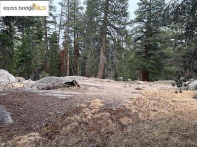 212033 Eagle Meadow, Strawberry, 加州 95375, 美國