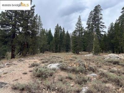 212033 Eagle Meadow, Strawberry, 加州 95375, 美國