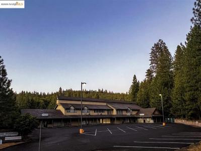 18701 Tiffeni Dr STE 2E, Twain Harte, California 95383, USA