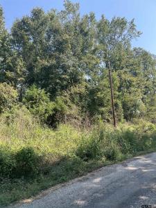 TBD CR 3510, Leesburg, Texas 75451, États-Unis