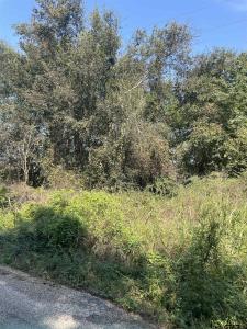 TBD CR 3510, Leesburg, Texas 75451, États-Unis