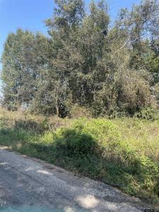 TBD CR 3510, Leesburg, Texas 75451, États-Unis