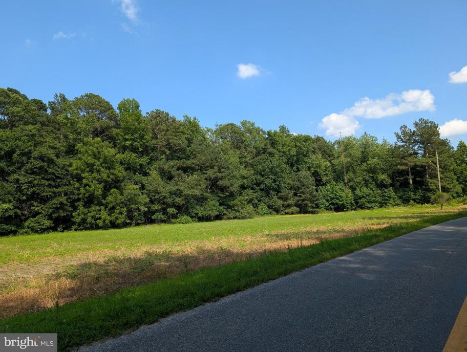 13111 BLANCHARD ROAD, GREENWOOD, Delaware 19950, Estados Unidos