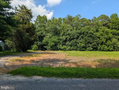 13111 BLANCHARD ROAD, GREENWOOD, Delaware 19950, Estados Unidos