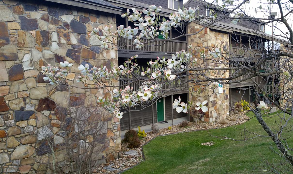 1380 SKI VIEW DR. UNIT 5302, Gatlinburg, Теннесси 37738, Соединенные Штаты