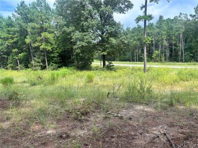 3709 Pine Wood, Larue, Texas 75770