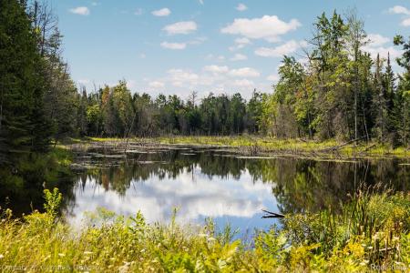 3265 Roost Road, Onaway, Michigan 49765