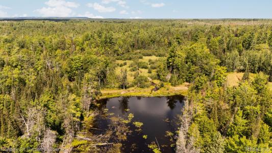 3265 Roost Road, Onaway, Michigan 49765