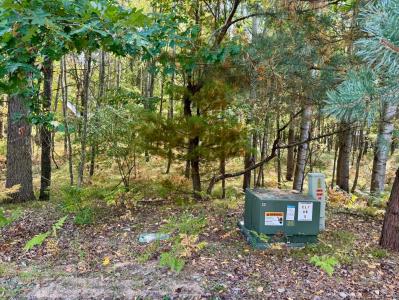 67642 Abbey Lane, Canadian Lakes, Michigan 49346, USA