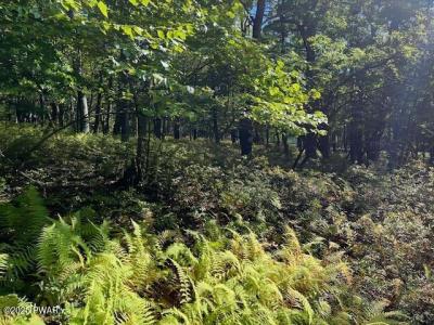 Lot 426 Squirrel Road, Dingmans Ferry, Pennsylvania 18328, Stati Uniti