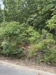 Tbd Skylee Drive, Hollister, Миссури 65672, Соединенные Штаты