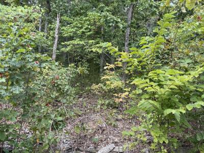 Tbd Skylee Drive, Hollister, Missouri 65672, USA