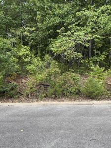 Tbd Skylee Drive, Hollister, Missouri 65672, USA