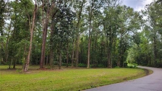 0 MILTON CRADDOCK Road, Pearl River, ルイジアナ 70452, アメリカ合衆国