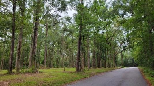 0 MILTON CRADDOCK Road, Pearl River, ルイジアナ 70452, アメリカ合衆国