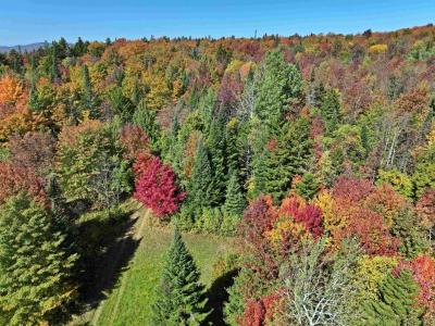 307 Kidder Hill Ridge, Irasburg, ורמונט 05845, ארצות הברית של אמריקה