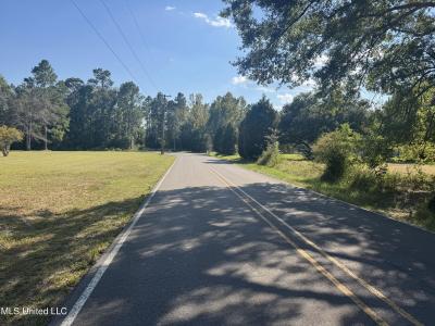 1233 Tannertown Road, Lucedale, 密西西比州 39452, 美國