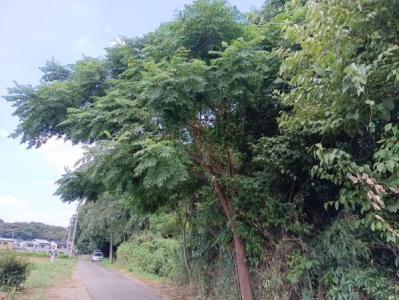 中分２丁目, 上尾市, Saitama 362-0067, Japão