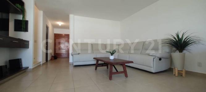 Terrasol Diamante SN,, Acapulco, 格雷罗 39893, 墨西哥