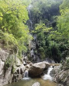 PALO MARIA FRACCION 2,, Puerto Vallarta, Jalisco 48294, Mexico