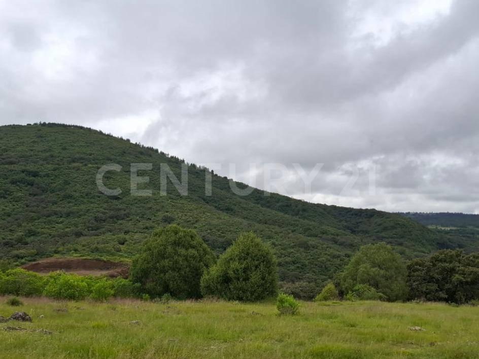 Huasca De Ocampo, イダルゴ 43530, メキシコ