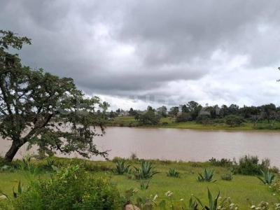 Huasca De Ocampo, イダルゴ 43530, メキシコ