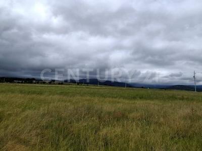 Huasca De Ocampo, イダルゴ 43530, メキシコ