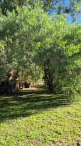 Mancicidor 5200, Campana, GBA Norte 00001, Argentina