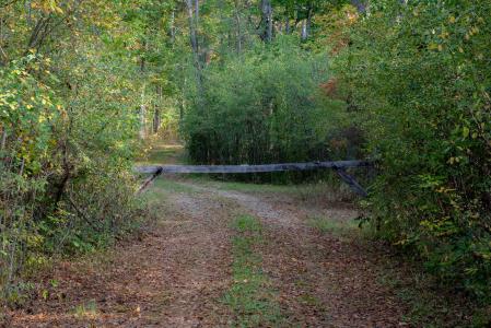 VL W Pine River, Midland, Michigan 48640, USA