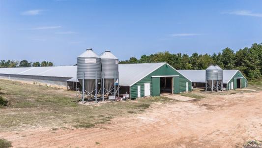 1349 Shady Grove Road, Jefferson, Texas 75657, Estados Unidos