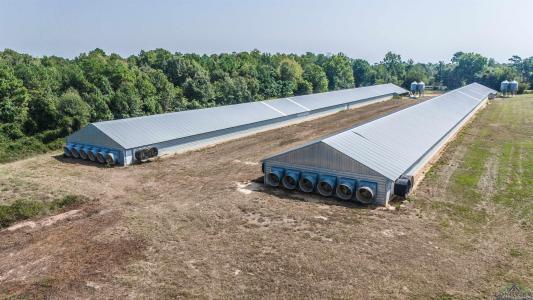 1349 Shady Grove Road, Jefferson, Texas 75657, Estados Unidos