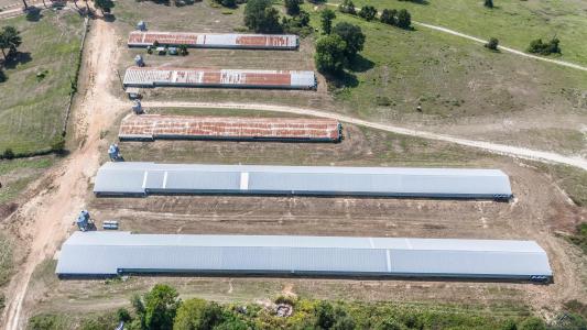 1349 Shady Grove Road, Jefferson, Texas 75657, Estados Unidos