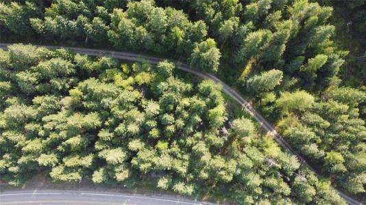 NHN MT HWY 35, Bigfork, Montana 59911, USA