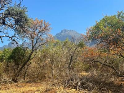 Hoedspruit, Limpopo, South Africa