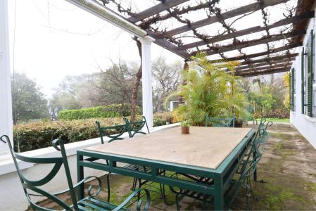 惠灵顿, Western Cape, 南非