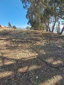 CV54+W7, El Alto, Bolivia CV54+W7, El Alto, Bolivia , Achocalla, La Paz 0000, Bolivie