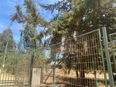 San Antonio, Valparaíso 00001, Chile