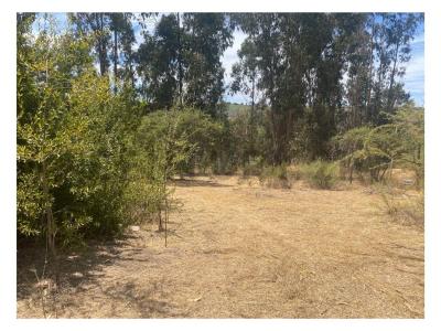 San Antonio, Valparaíso 00001, Chile