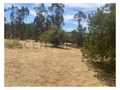 San Antonio, Valparaíso 00001, Chile