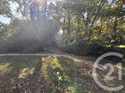 Lanton, Aquitaine 33138, France