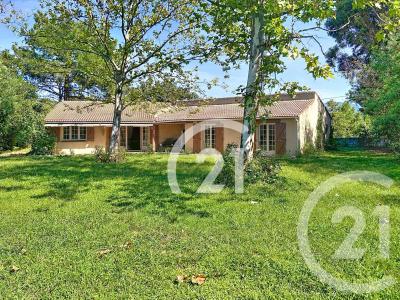 Ceret, Languedoc-Roussillon 66400, Francia