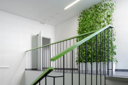 Křižná, Valašské Meziříčí, Vsetín 100 00, República Checa