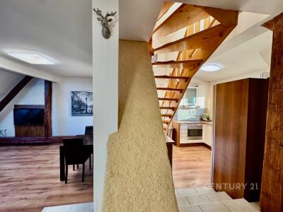 12, Tržní, Brno, Brno-město 61800, Czech Republic