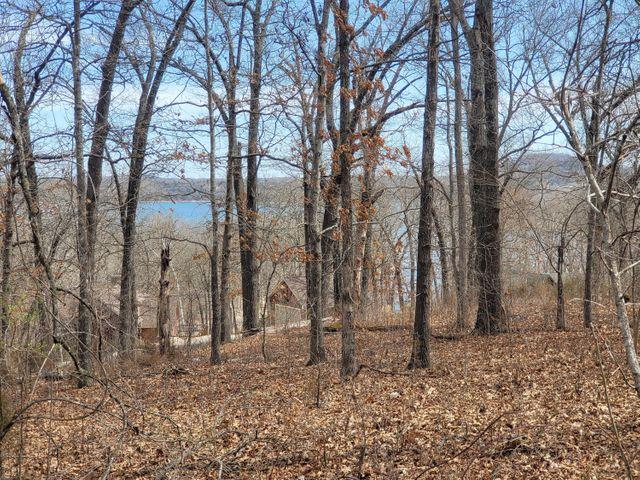 60 Green Cypress Lane, Shell Knob, 密蘇里州 65747, 美國