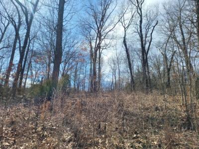 60 Green Cypress Lane, Shell Knob, 密蘇里州 65747, 美國